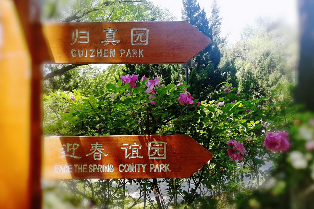 濰坊市人民公園景區養護